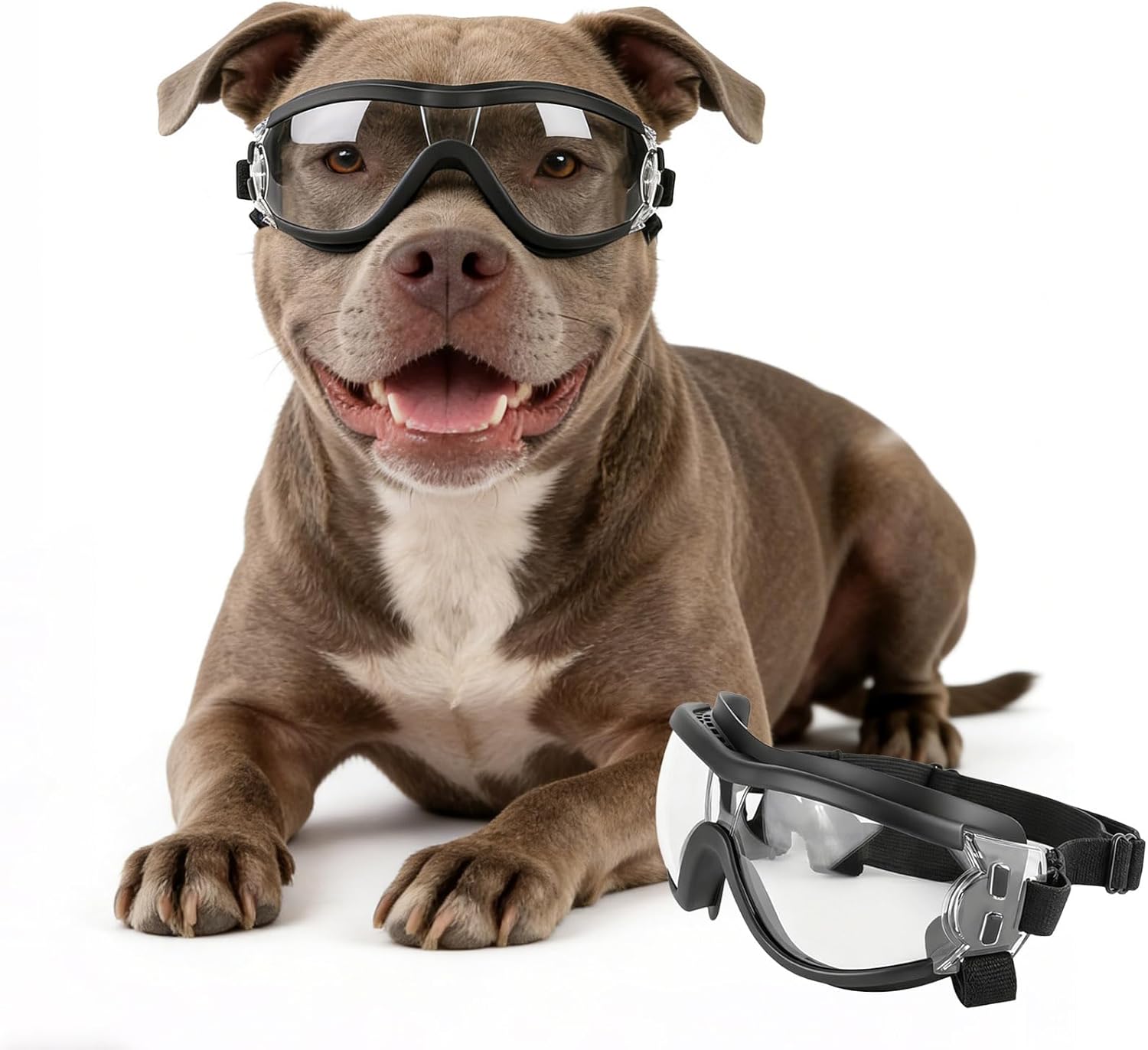 Pet Supplies Coupon - Adjustable Pet Goggles for Dogs Transparent