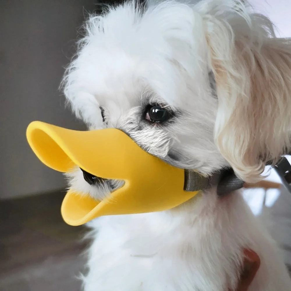 1pcs Small Pet Dog Muzzle Sili - đánh giá và giá Pet Supplies Coupon