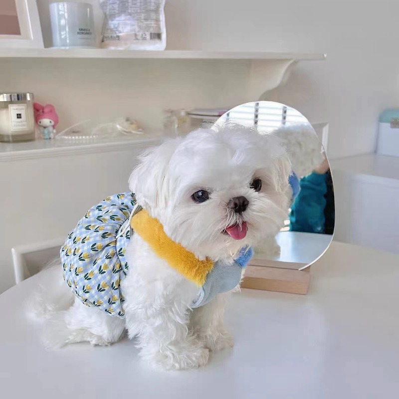 Creative Autumn and Winter Clo - đánh giá và giá Pet Supplies For Less