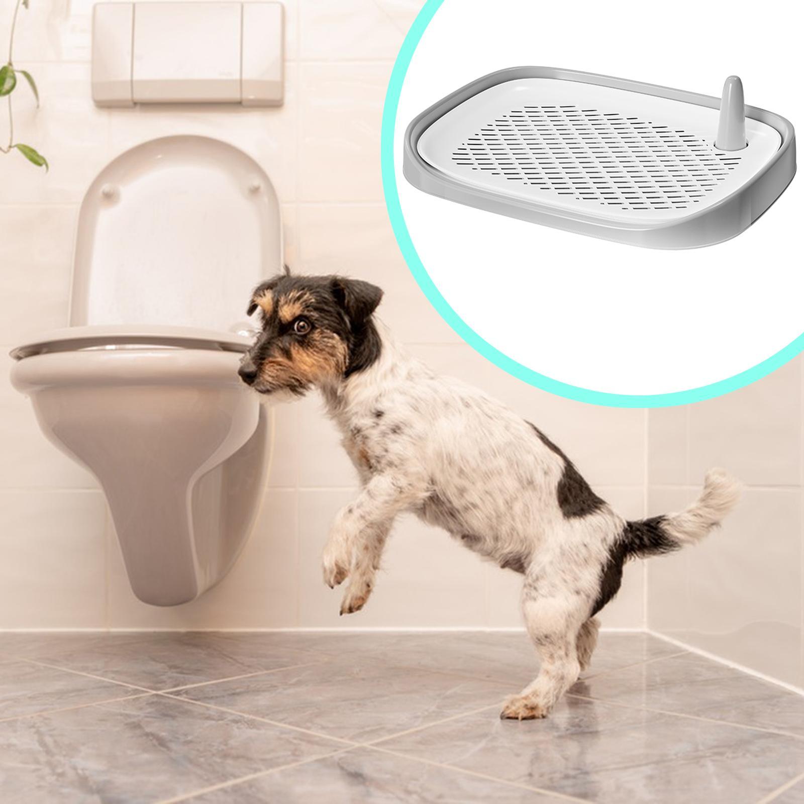 Dog Litter Box Pet Supplies Tr - đánh giá và giá Pet Supplies For Less