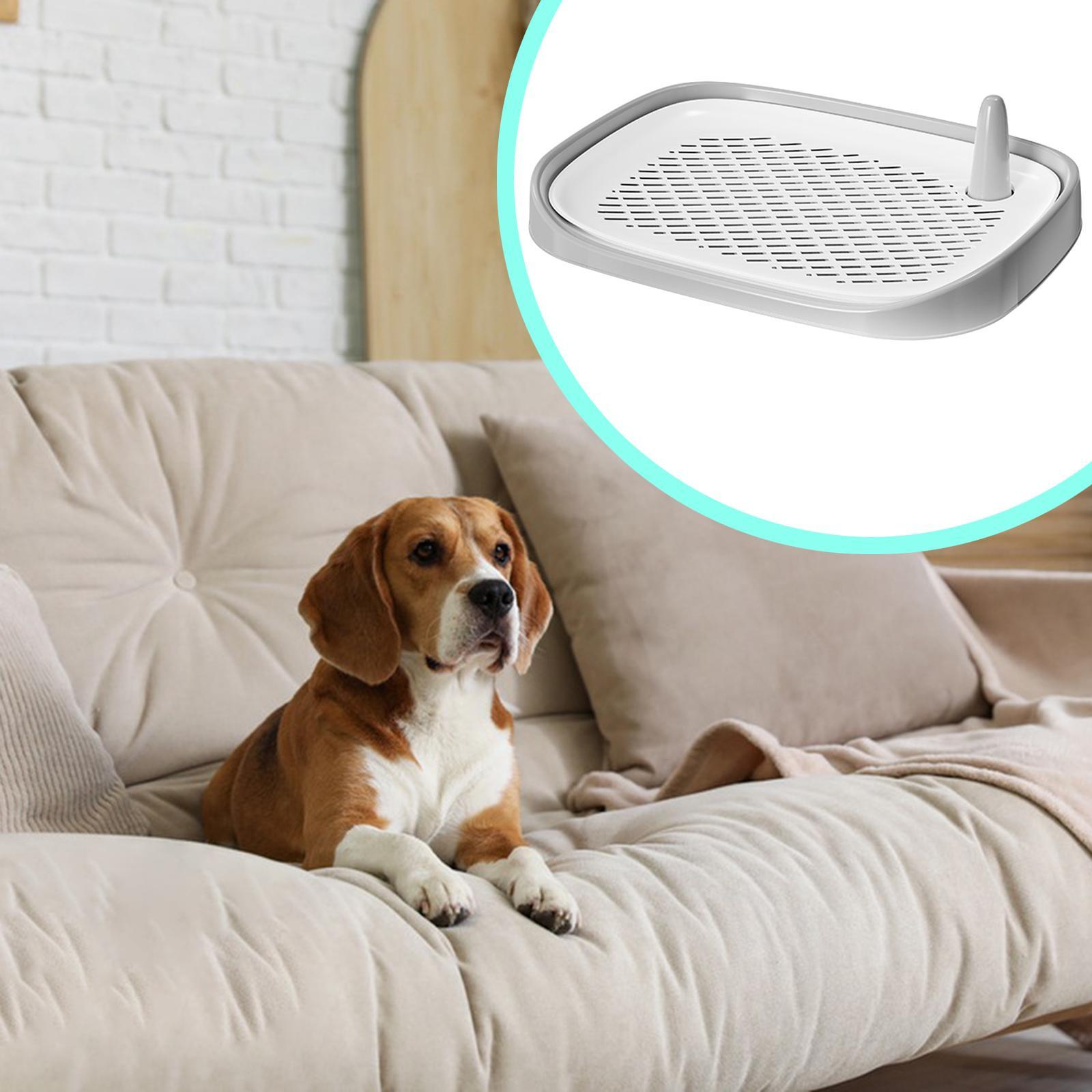 Dog Litter Box Pet Supplies Tr - đánh giá và giá Pet Supplies For Less