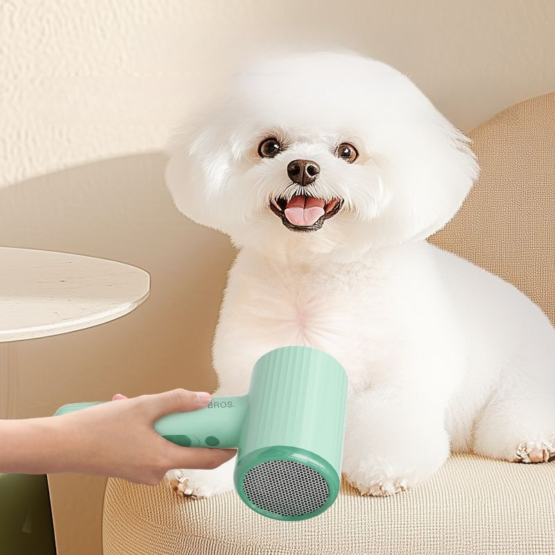 Professional Pet Hair Dryer Be - đánh giá và giá Pet Supplies For Less