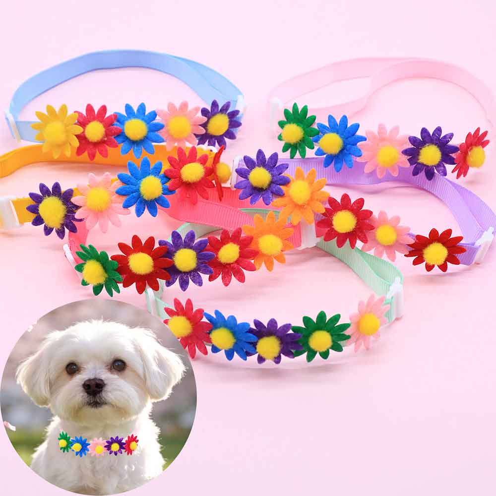 50PCS Colorful Dog Bowties Flo - đánh giá và giá Pet Supplies Coupon