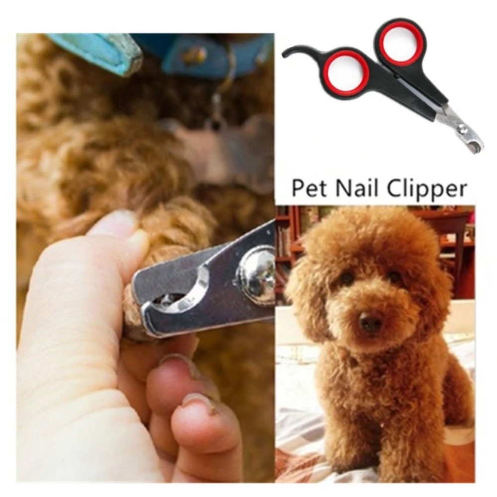 12cm Pet Nail Clipper Trimmer  - đánh giá và giá Pet Supplies Nail Trim