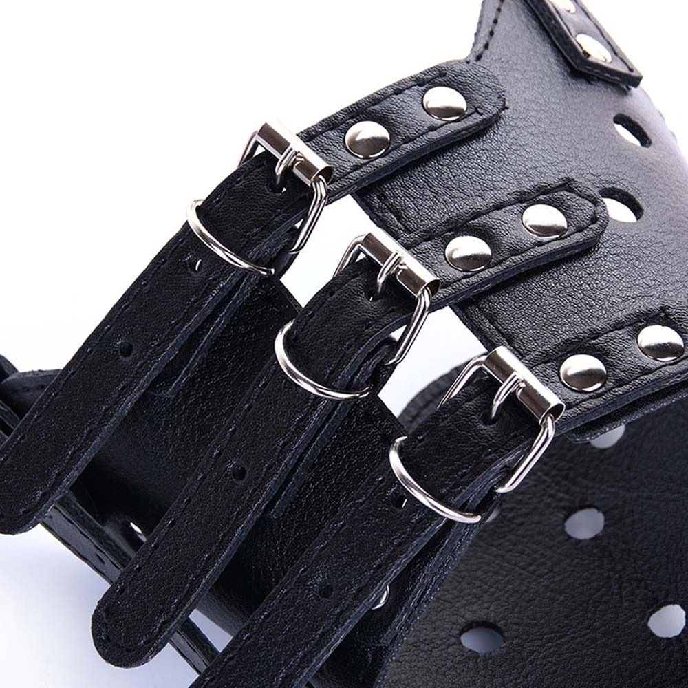 Anti-Biting Secure Anti Bark C - đánh giá và giá Pet Supplies Coupon