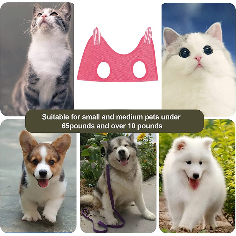 Pet Beauty Hammock Hanging Cat - đánh giá và giá Pet Supplies Nail Trim