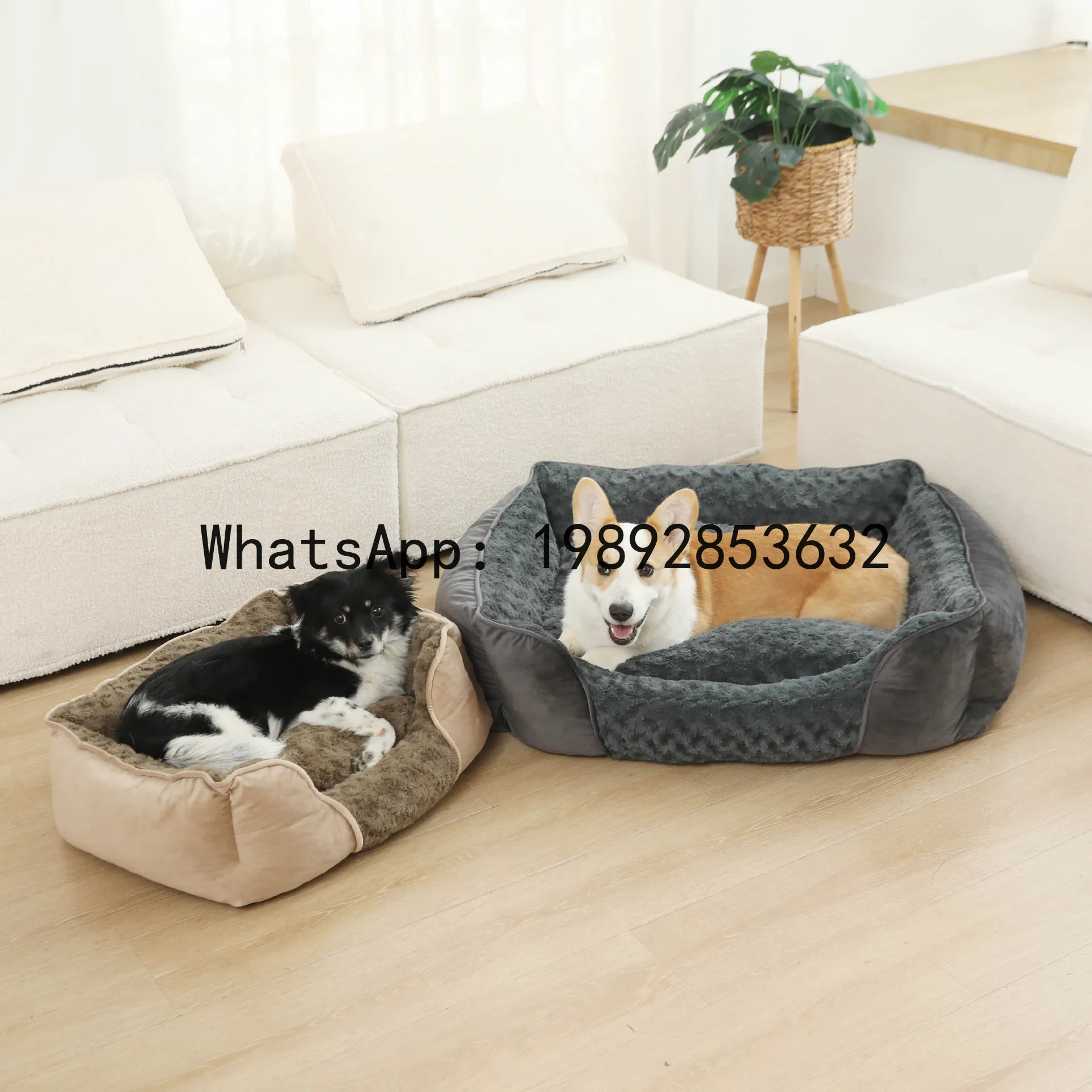 X cat house semi-enclosed dog  - đánh giá và giá Pet X Supplies & Tack Howell Mi