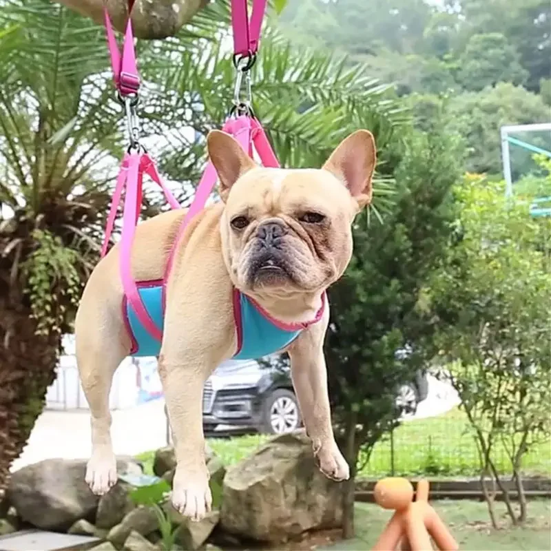 Pet Grooming Hammock Convenien - đánh giá và giá Pet Supplies Nail Trim