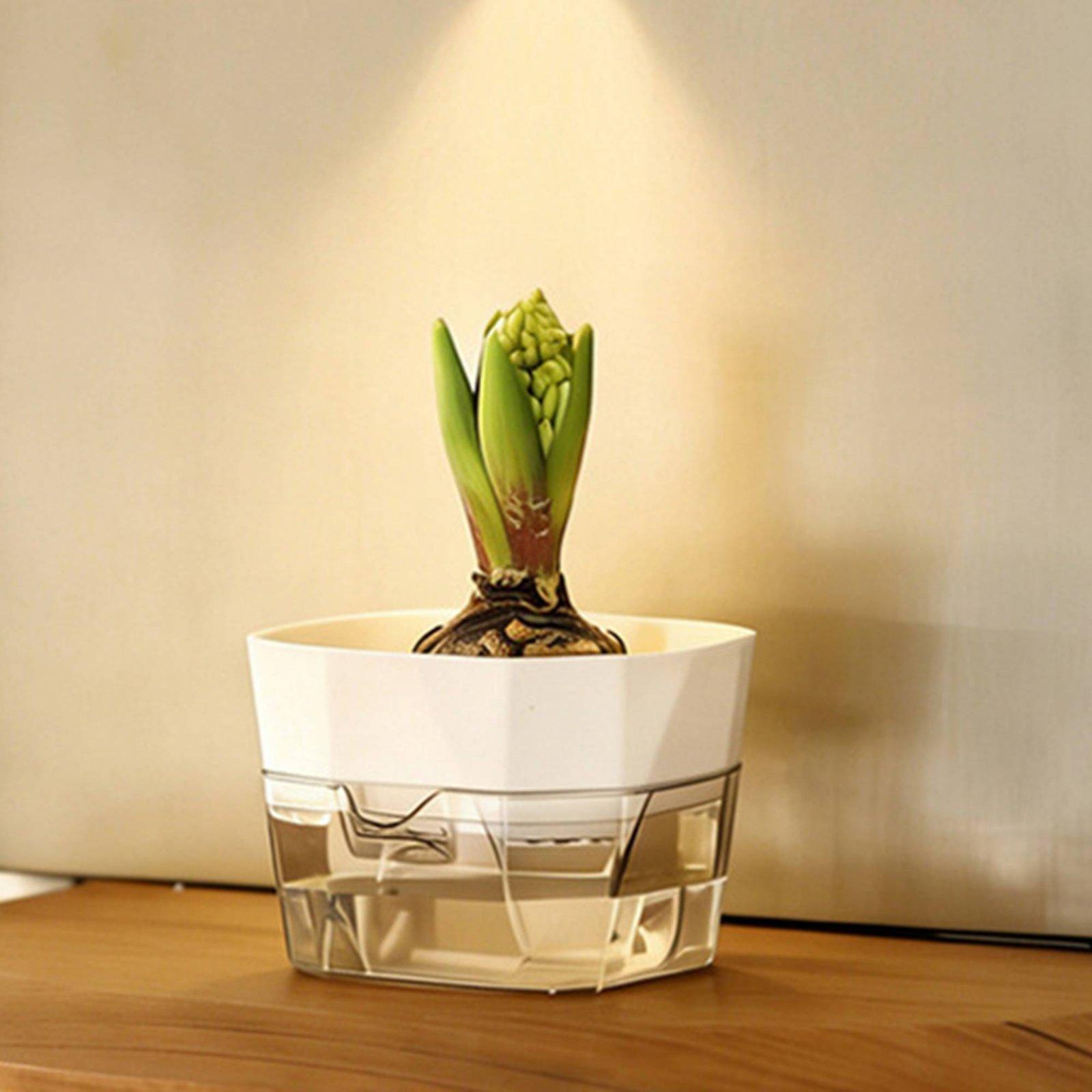 Hydroponic Vase Two Layer Self - đánh giá và giá Pet Supplies In