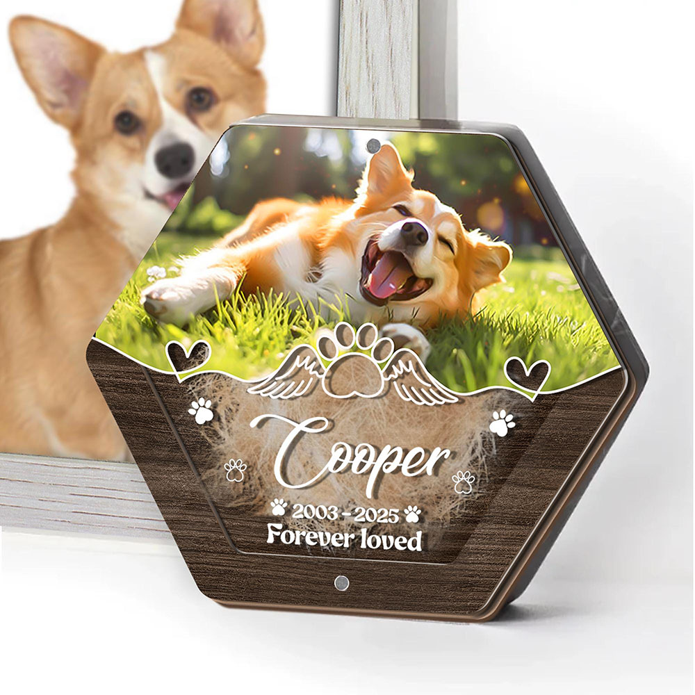 Personalized Name Wooden Carvi - đánh giá và giá Pet Supplies Stores