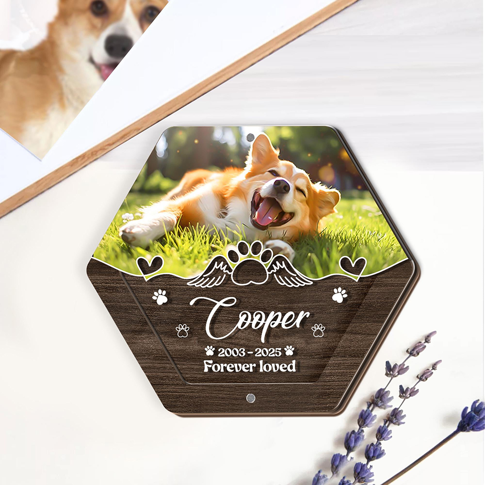 Personalized Name Wooden Carvi - đánh giá và giá Pet Supplies Stores