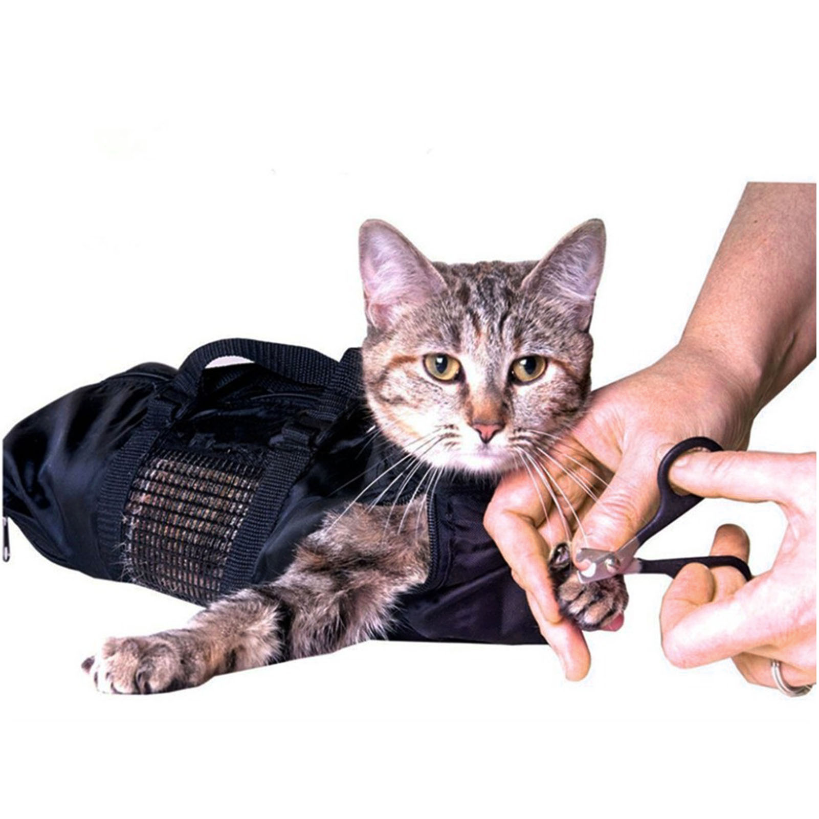 Mesh Cat Grooming Bathing Bag  - đánh giá và giá Pet Supplies Nail Trim