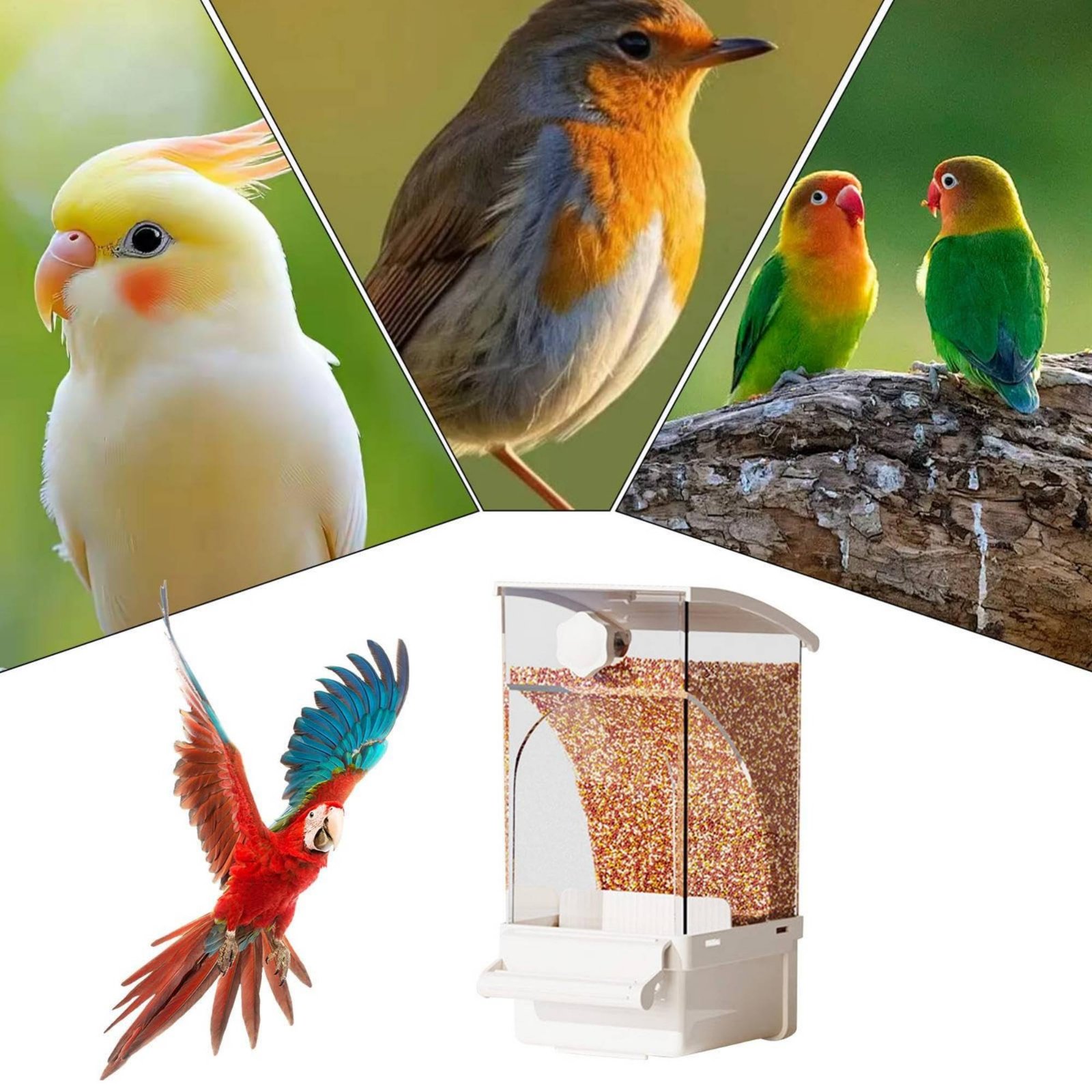 Automatic Avian Feeder Husk Se - đánh giá và giá Pet Supplies In