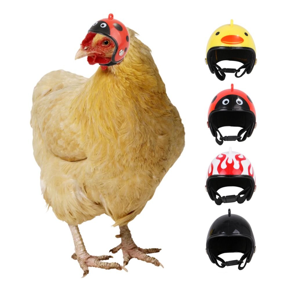 ABS Pet Supplies Funny Pet Pro - đánh giá và giá Pet X Supplies & Tack Howell Mi
