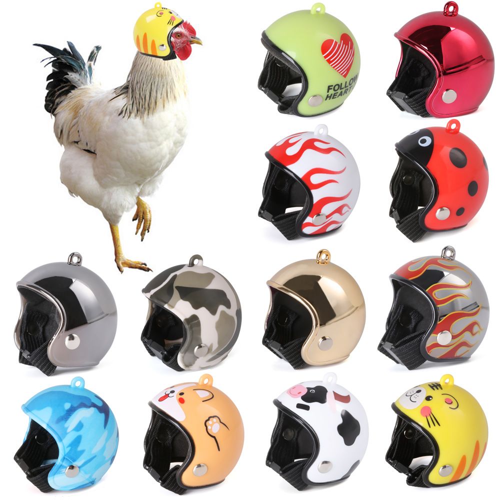 ABS Pet Supplies Funny Pet Pro - đánh giá và giá Pet X Supplies & Tack Howell Mi