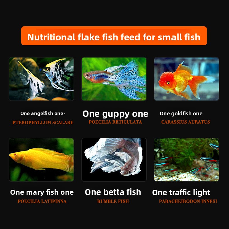 DaJiaWa Spirulina Flake Fish F - đánh giá và giá Tetra Food Goldfish Flakes