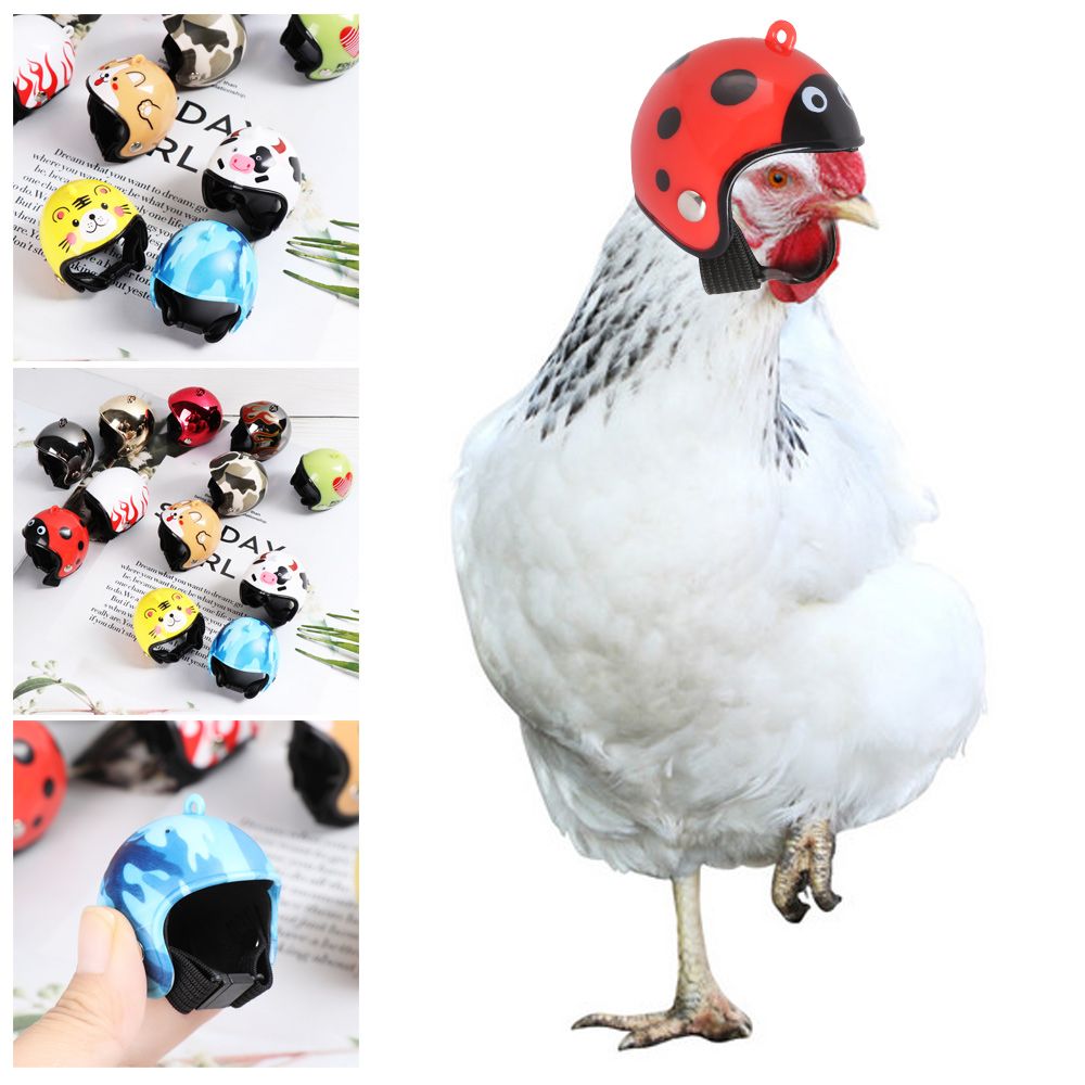 ABS Funny Pet Supplies Pet Pro - đánh giá và giá Pet X Supplies & Tack Howell Mi