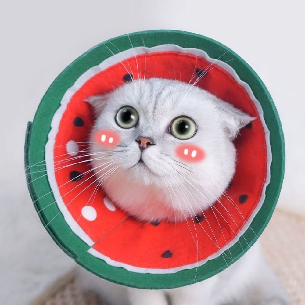 Fruit Pattern Soft Elizabethan - đánh giá và giá Pet Supplies Nail Trim