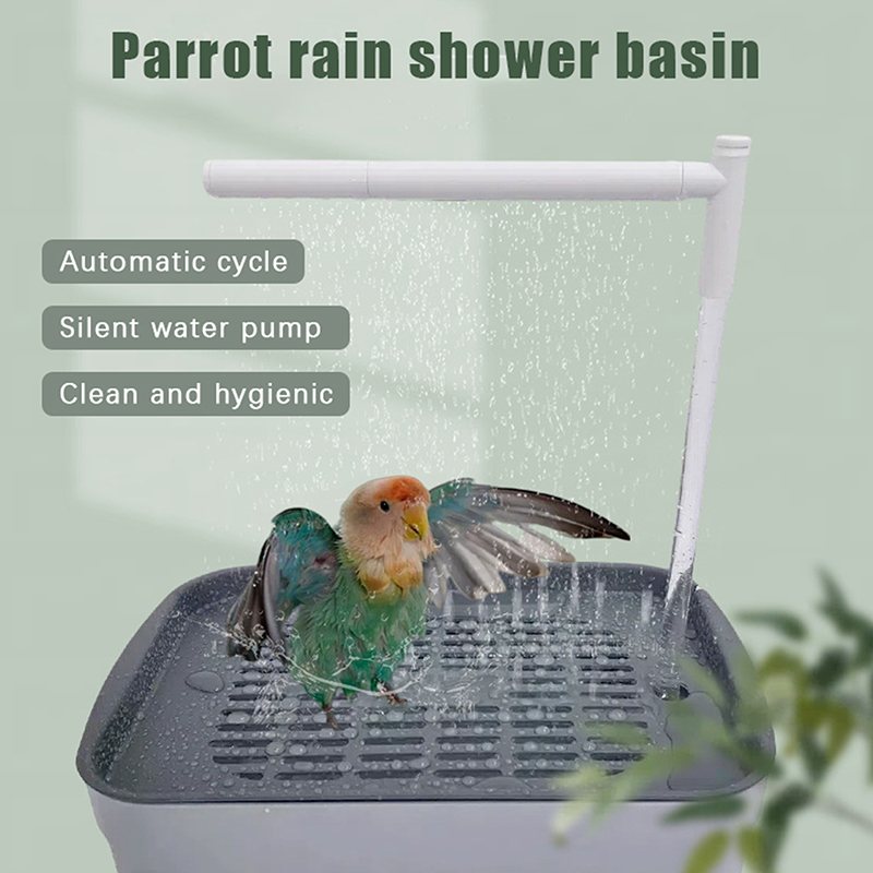 New Sale 2026 Automatic Parrot - đánh giá và giá Pet Supplies In